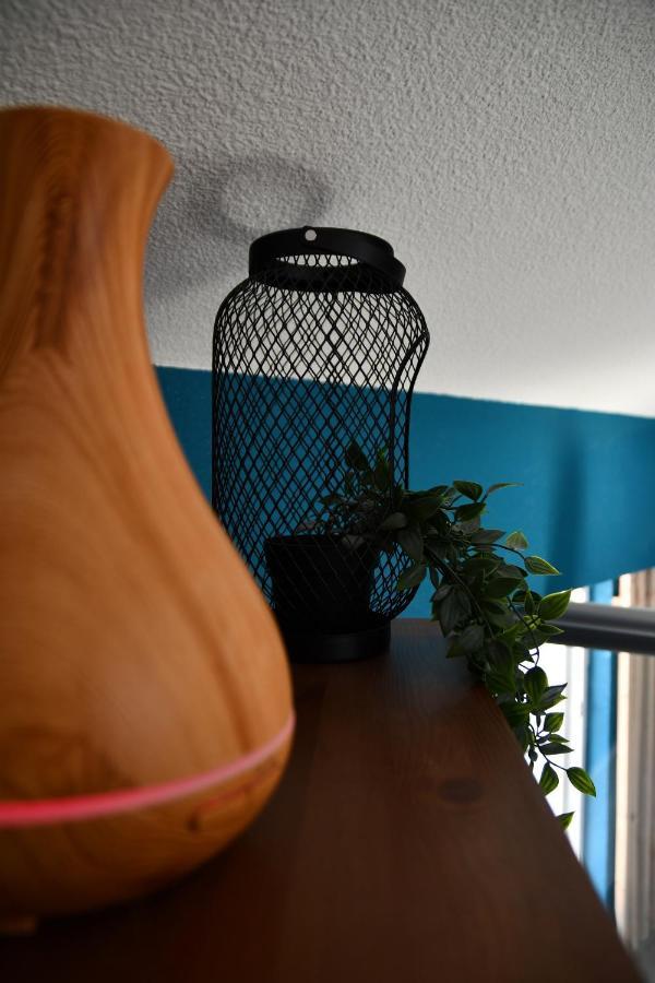 Appartement "Sacha" Au Calme En Hypercentre De Revel ルヴェル エクステリア 写真
